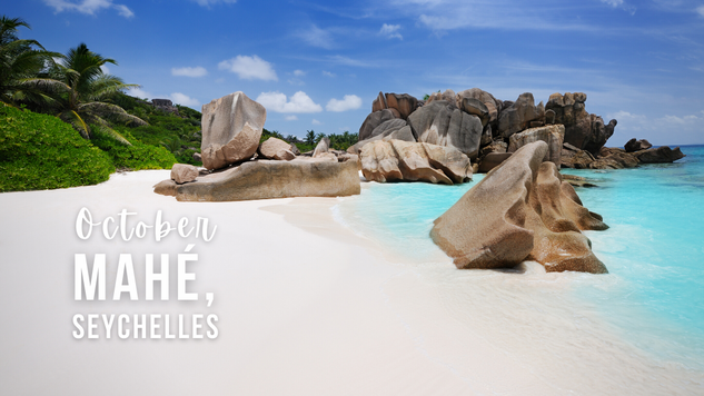 A beautiful beach in the Seychelles