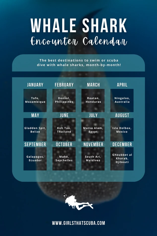 A calendar showing the best destination per month to swim with whale sharks