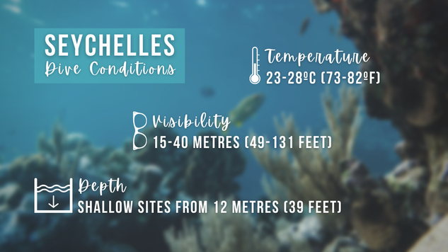 Infographic detailing scuba diving conditions in Seychelles, summary of text below 