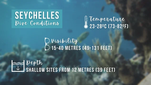 Infographic detailing scuba diving conditions in Seychelles, summary of text below 