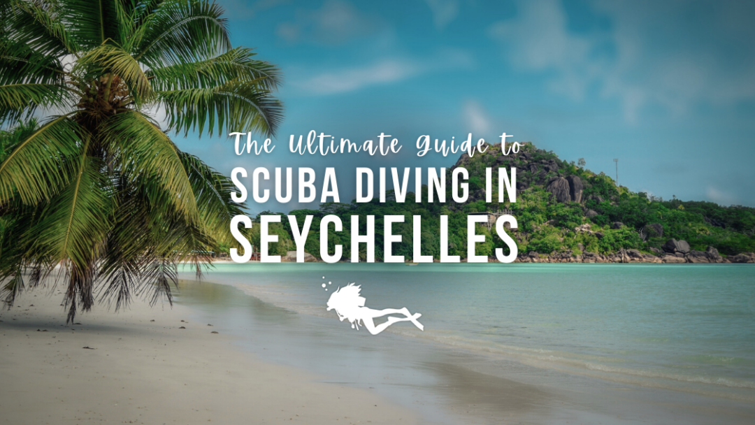 Dive Destinations Girls that Scuba