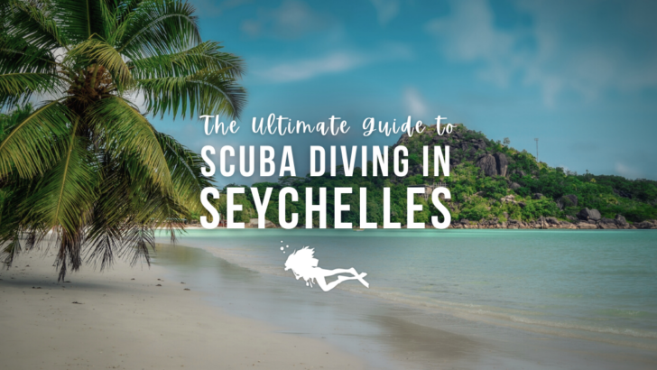 Seychelles Scuba Diving – The Ultimate Guide