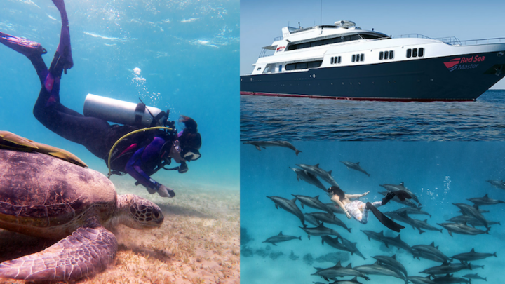 Best Liveaboards and Liveaboard routes in Red Sea, Egypt