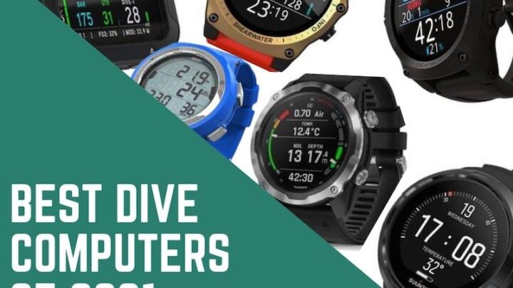 Best dive computers for 2021