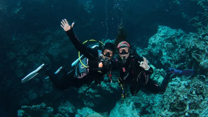 Divemaster Internship