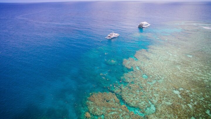 great barrier reef liveaboards