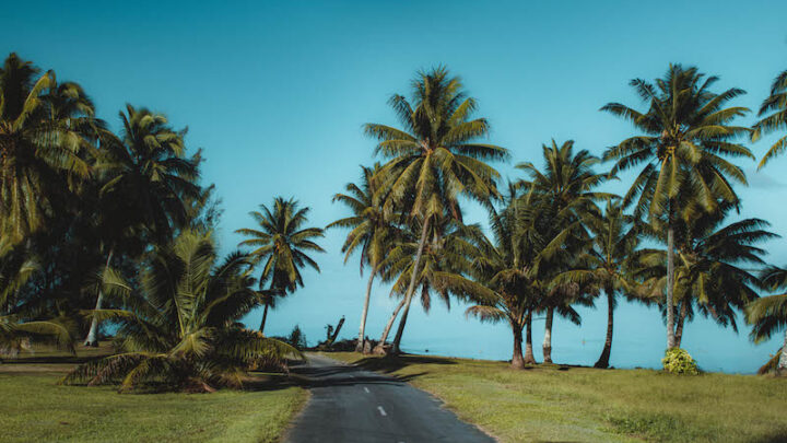 Scuba Diving Aitutaki, The Cook Islands