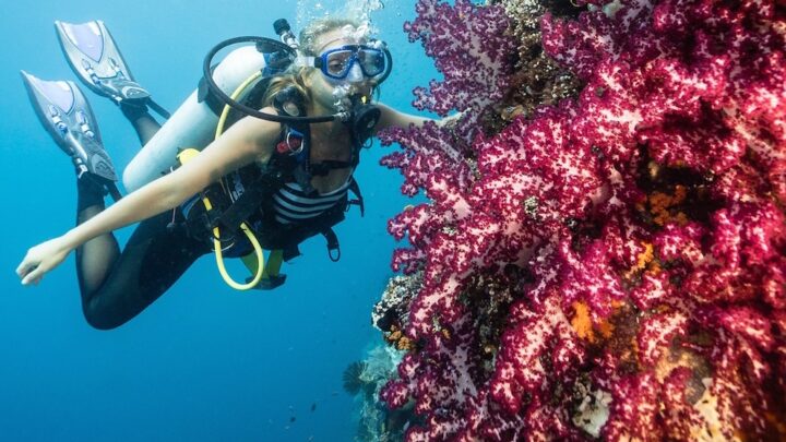 Scuba Diving in Alor, Indonesia