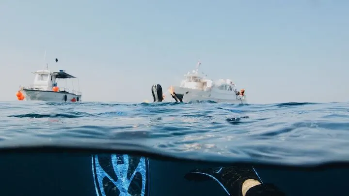 Scuba Diving in Bonaire