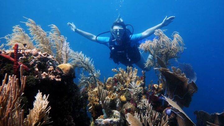 Scuba Diving in Honduras; Utila and Roatan