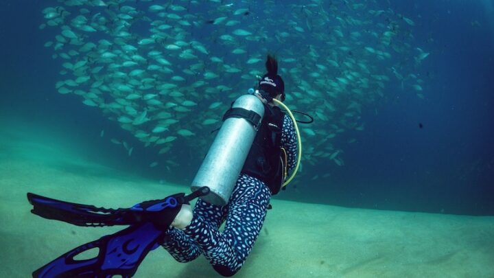 Scuba Diving in Isla Mujeres, Mexico