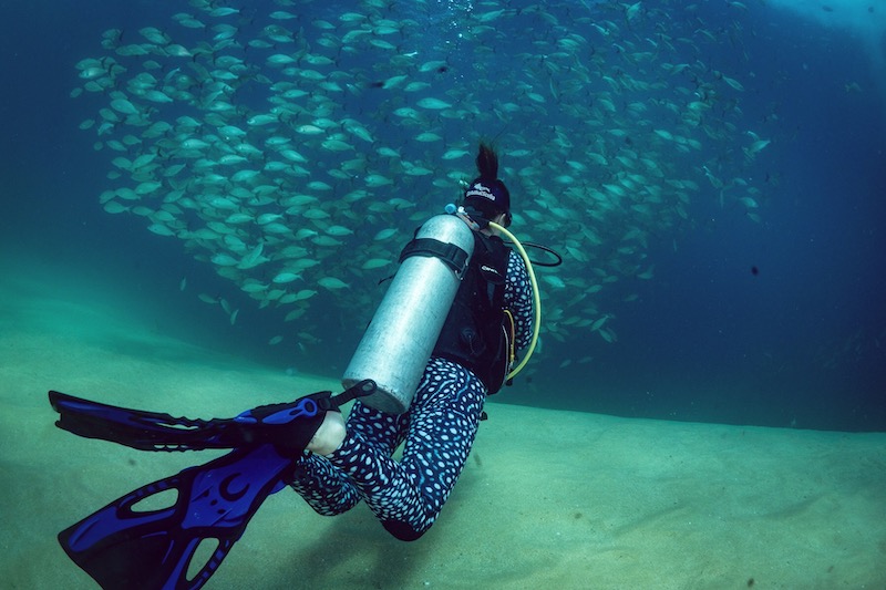 Scuba Diving in Isla Mujeres, Mexico