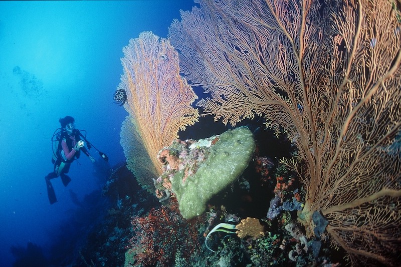 Scuba Diving in Samoa
