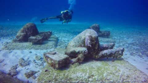 Scuba diving in Yucatán – where, how, Cenotes or ocean?