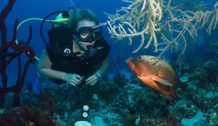 Unusual Dive Destinations