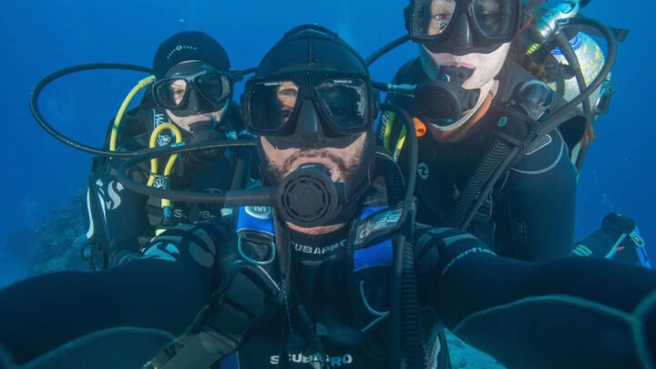 Scuba divers are happier, more intelligent and better travelled people – here’s why