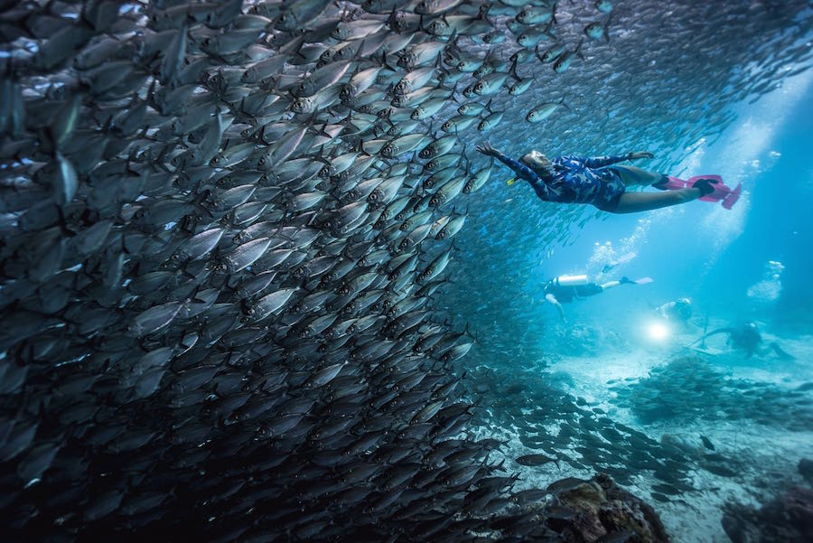 Scuba diving in Raja Ampat - where, how, liveaboard or shore?