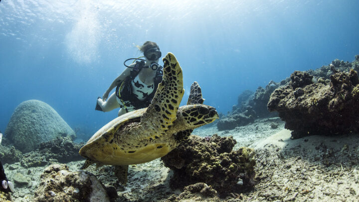 Top 10 Scuba Dive Sites in Bali