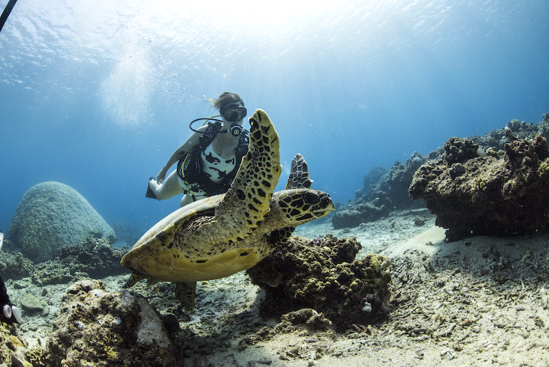 Top 10 Scuba Dive Sites in Bali