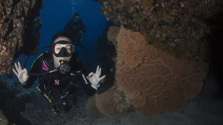 Who to dive with in Sharm el Sheikh, Egypt