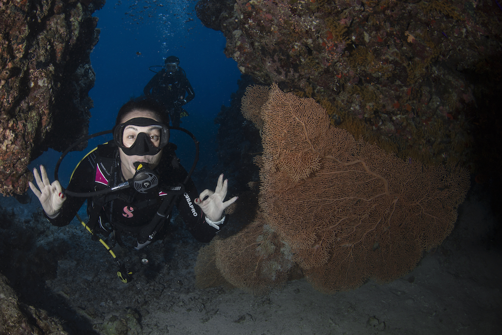 Who to dive with in Sharm el Sheikh, Egypt