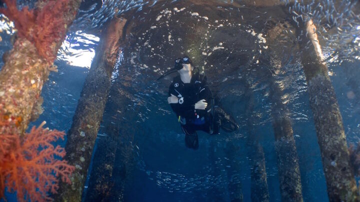 Scuba diving in Aqaba, Jordan – The best dive sites