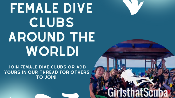 Female scuba diving clubs and communities around the world