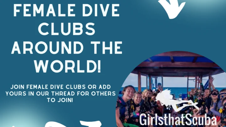 female scuba dive clubs
