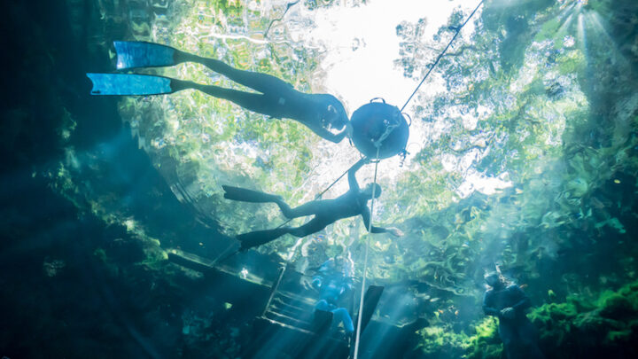 freediving in cenotes rivera maya