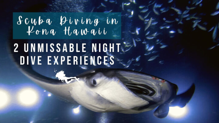 Scuba Diving in Kona Hawaii – 2 Unmissable Night Dive Experiences