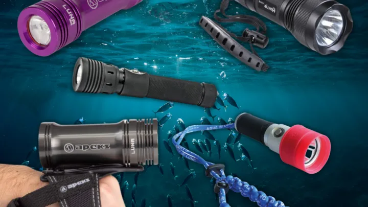 scuba dive torch