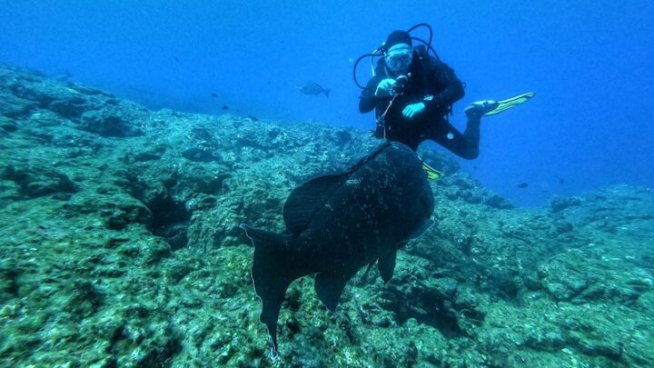 scuba diving azores