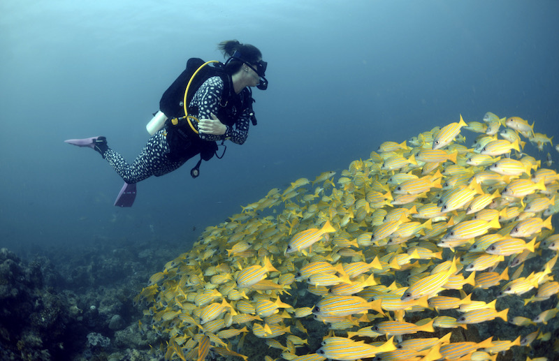 scuba diving in currents