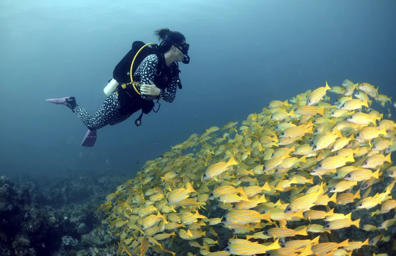 scuba diving in currents