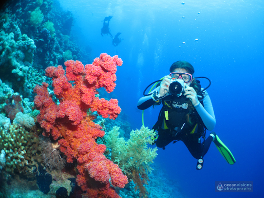 10 Starter tips to get the best underwater photos