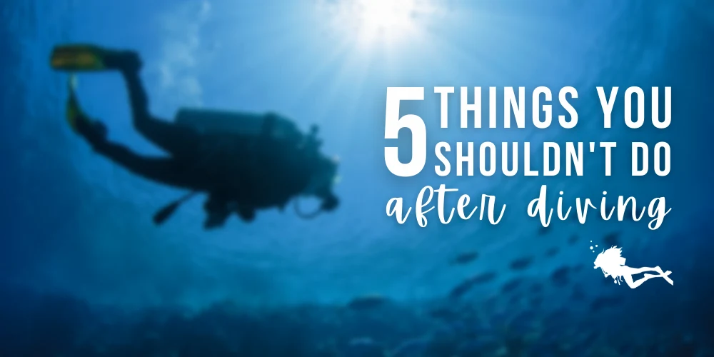 5 things you shouldn't do after diving