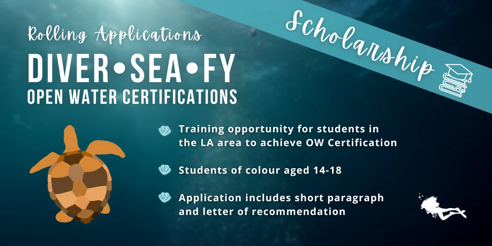 Banner detailing the DiverSeaFy Open Water Certification Scholarships, details below