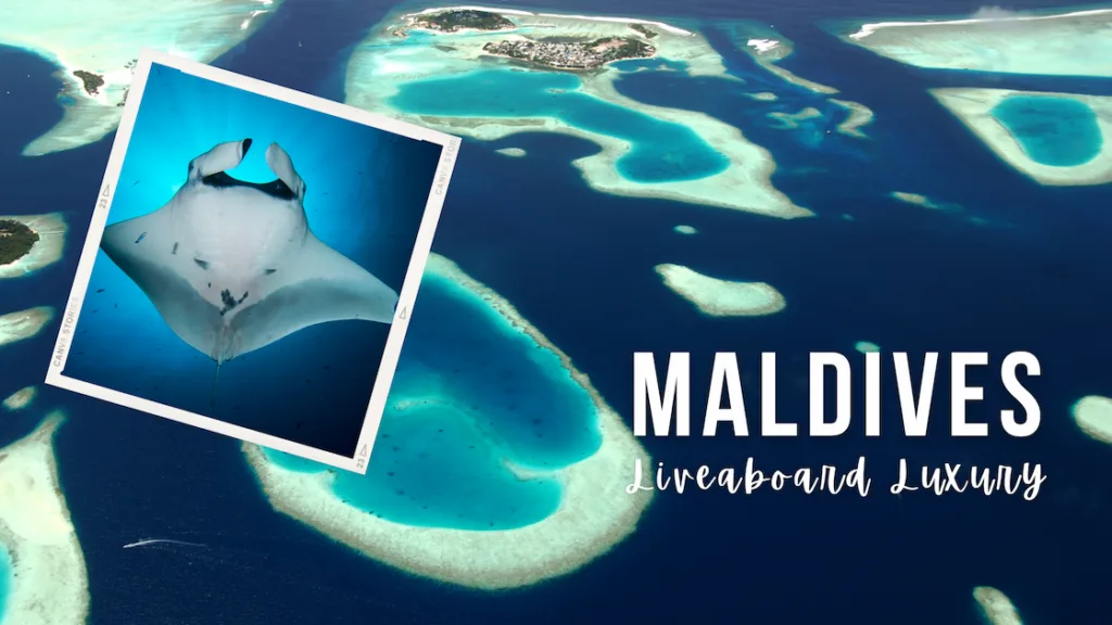 Aerial image of Maldivian atolls in deep blue water, inset image of a manta ray belly underwater