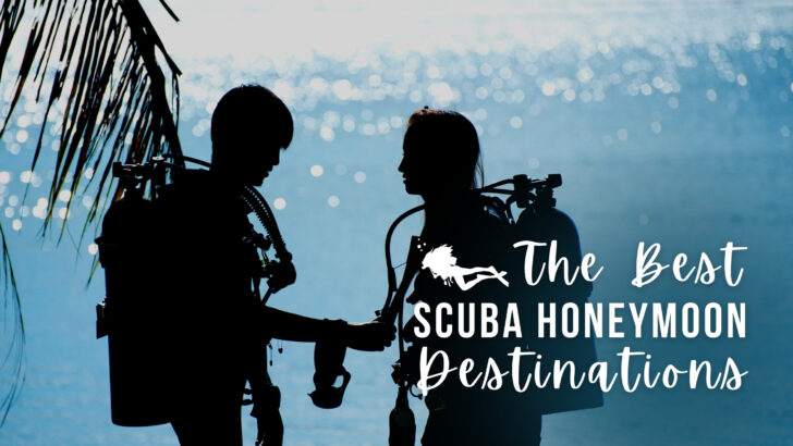 6 of the Best Scuba Diving Honeymoon Destinations