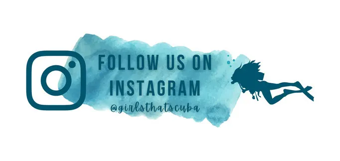 follow us on Instagram