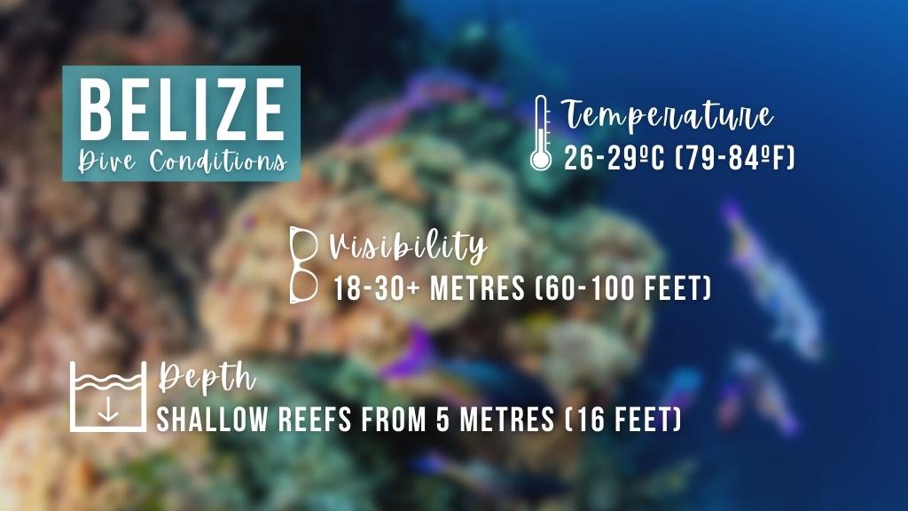 Infographic detailing scuba diving conditions in Belize, summary of text above and below.