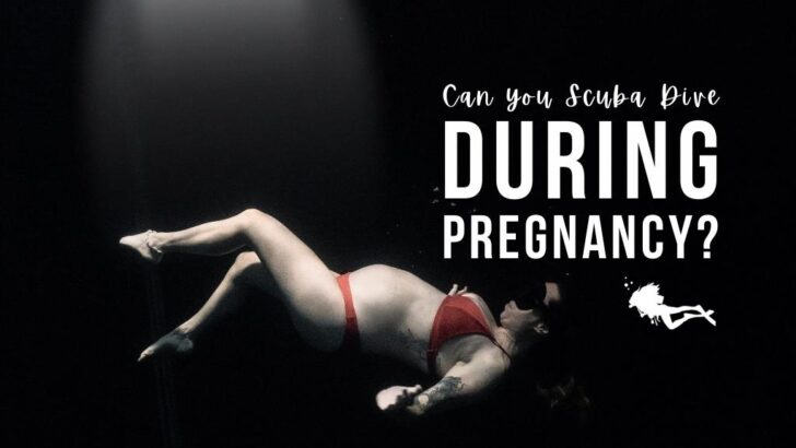 Can You Scuba Dive While Pregnant?