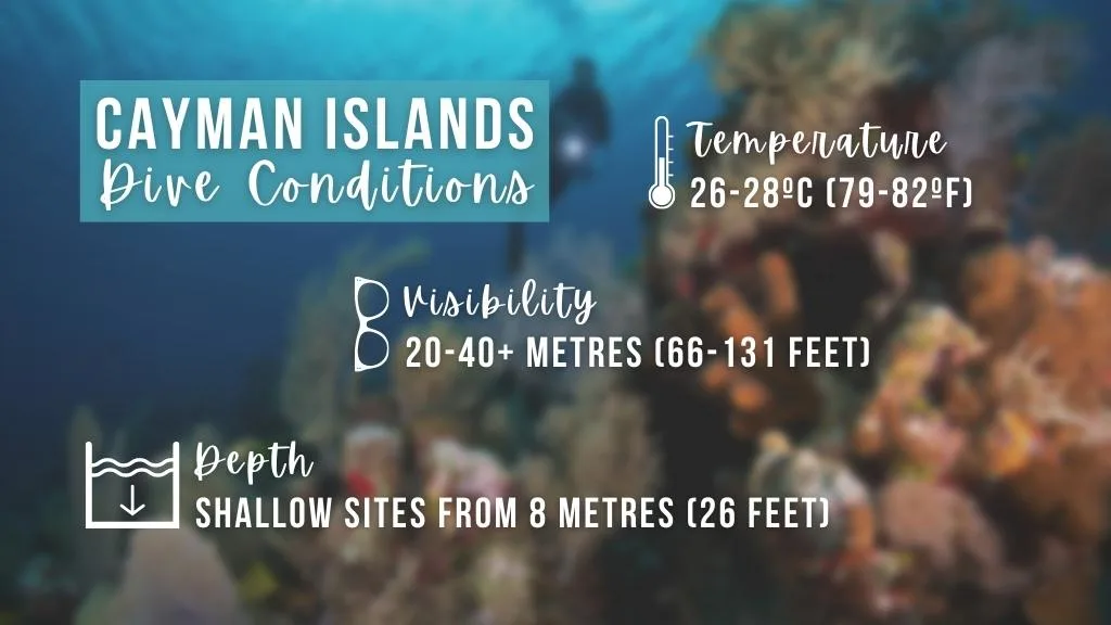 Graphic showing the scuba diving conditions in the Cayman Islands as detailed in paragraph above, over a blurred background of a healthy coral reef