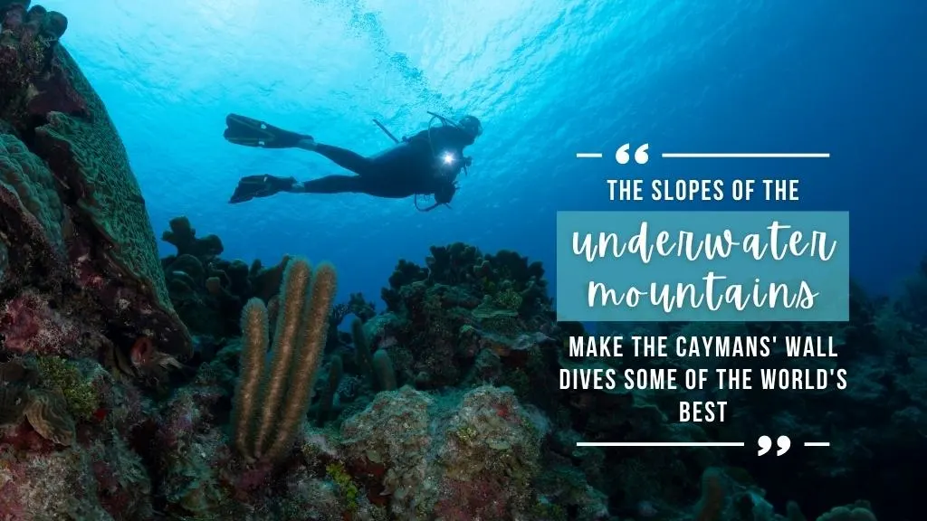 A woman scuba diving in the Cayman Islands against bright blue water with sunlight behind her, in the foreground is a healthy reef. Overlaid white text quotes article above.