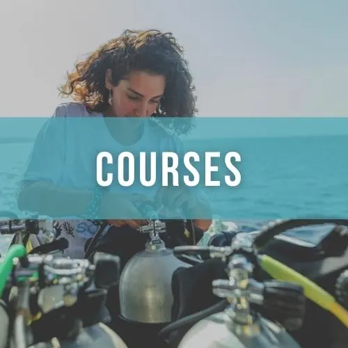 Woman scuba diver with dark curly hair attaches a regulator to a scuba cylinder, overlaid white text reads "COURSES"