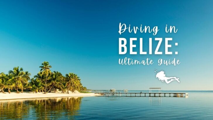 Scuba Diving in Belize – The Ultimate Guide