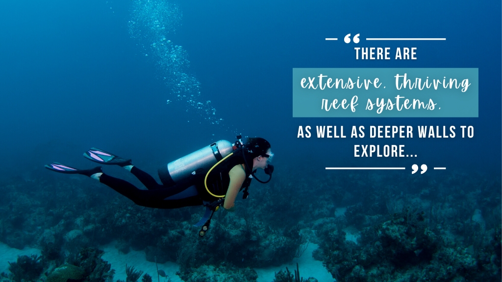 A woman swims over a reef scuba diving in the Bahamas. Overlaid white text quotes article below. 