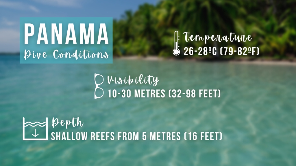 Infographic summarising the scuba diving conditions in Panama as described below. 