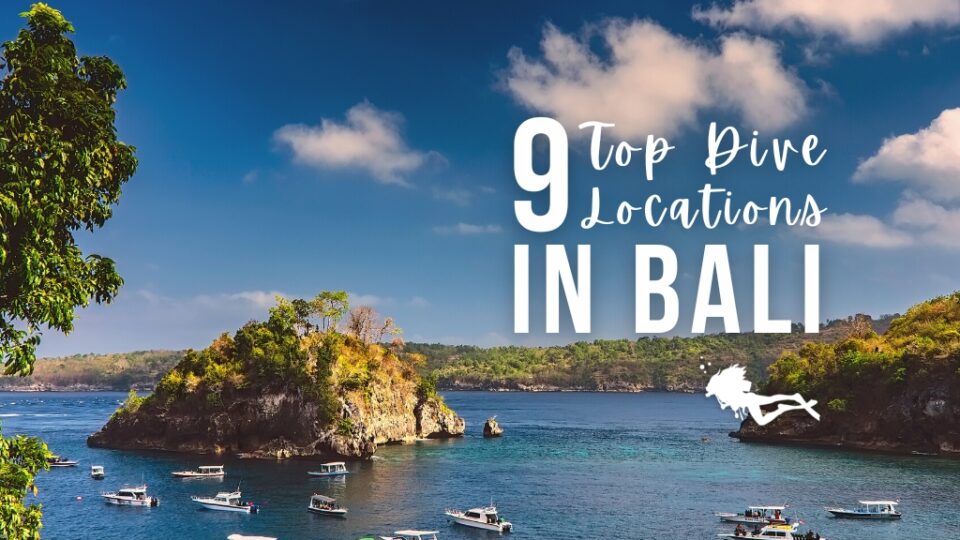 Scuba Diving Bali 9 Top Dive Locations Girls that Scuba