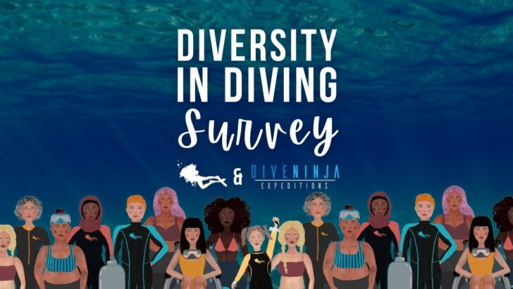 Illustration of diverse women scuba divers, of multiple ages, races, sizes and abilities. Overlaid white text reads 